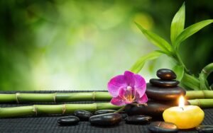Harnessing The Ayurvedic Benefits Of Vanshlochan For Optimal Health