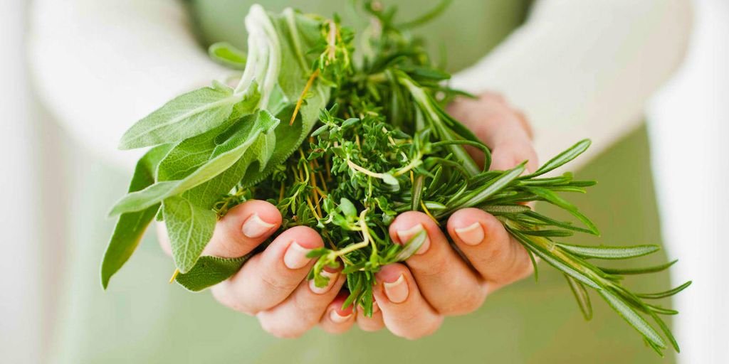 healthy lifestyle concept with herbal supplements and natural medicine