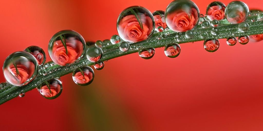 ancient Indian texts and illustrations, romantic couple, traditional Indian setting