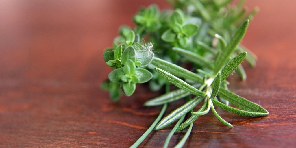 traditional Indian herbs and medicine