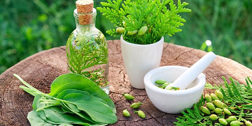 traditional Ayurvedic medicine preparation with herbs and mortar