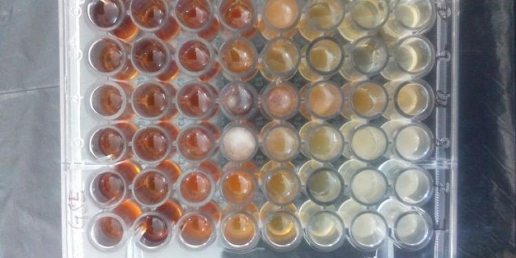 traditional medicine herbs and laboratory