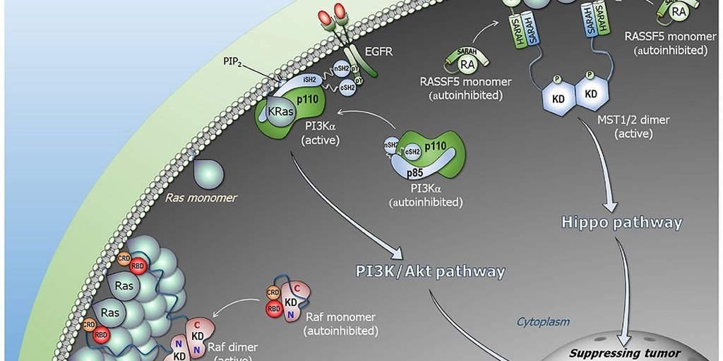 Vasant Kusumakar Ras 100 Pills Pack