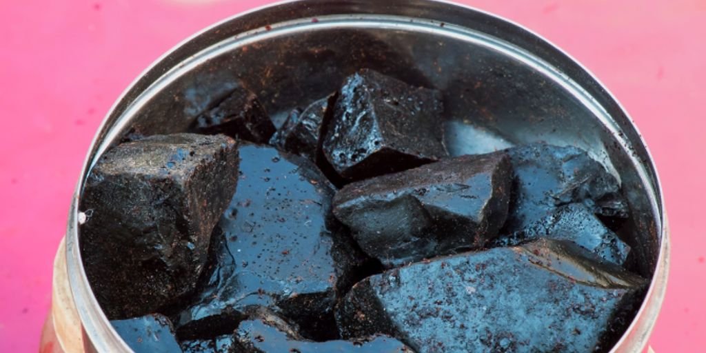 Zandu Shilajit Gold supplement